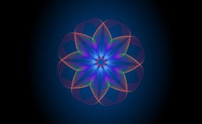 线条组成的花朵flash动画